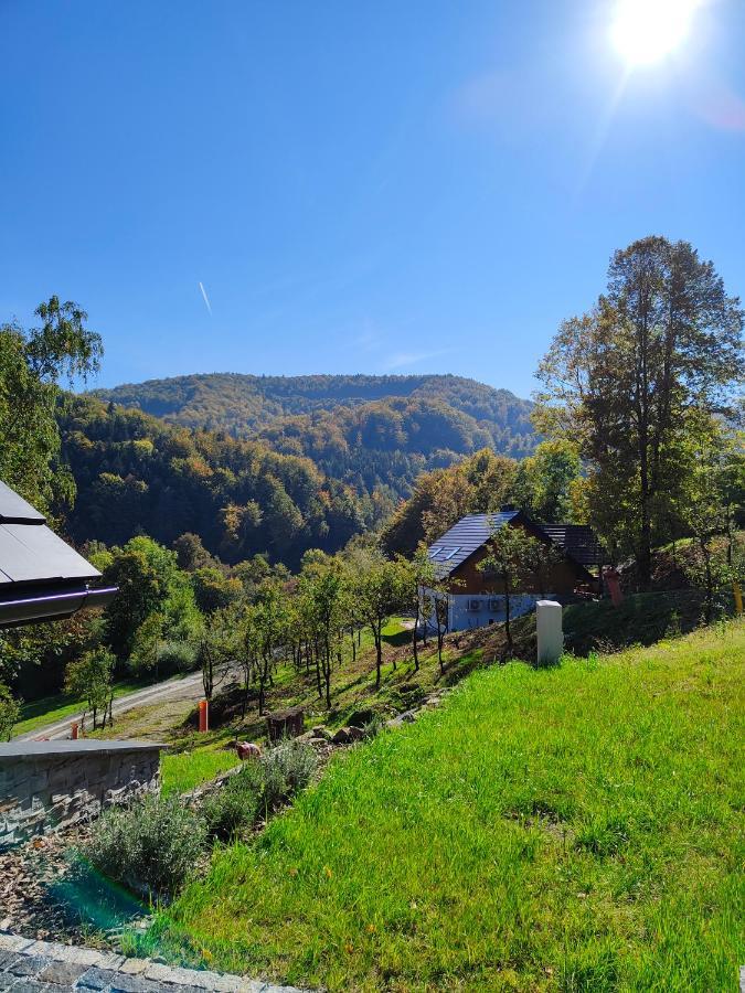 Apartament Domki nad Stawami Ujanowice Zewnętrze zdjęcie